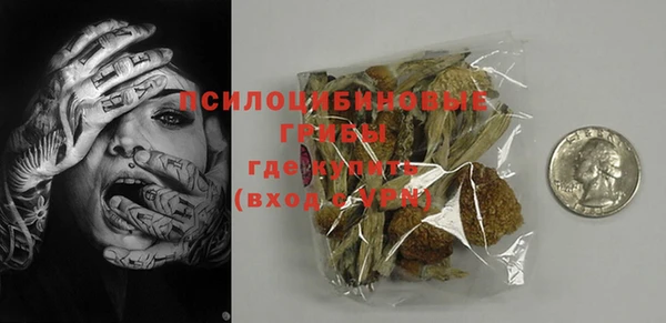ешки Алексин