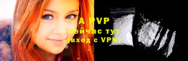 apvp Алзамай