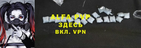 ешки Алексин