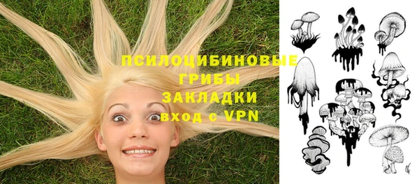 ешки Алексин