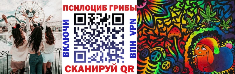 где купить Яровое Галлюциногенные грибы прущие грибы